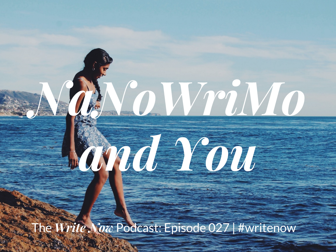 NaNoWriMo and You – WN 027