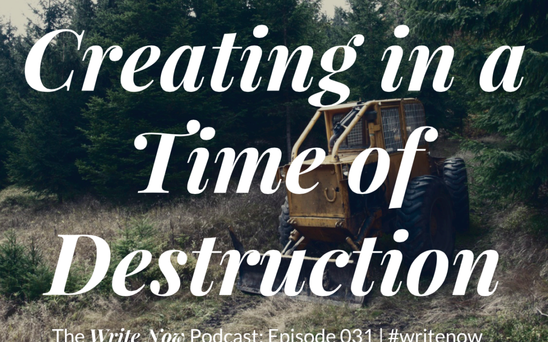 Creating In A Time of Destruction – WN 031