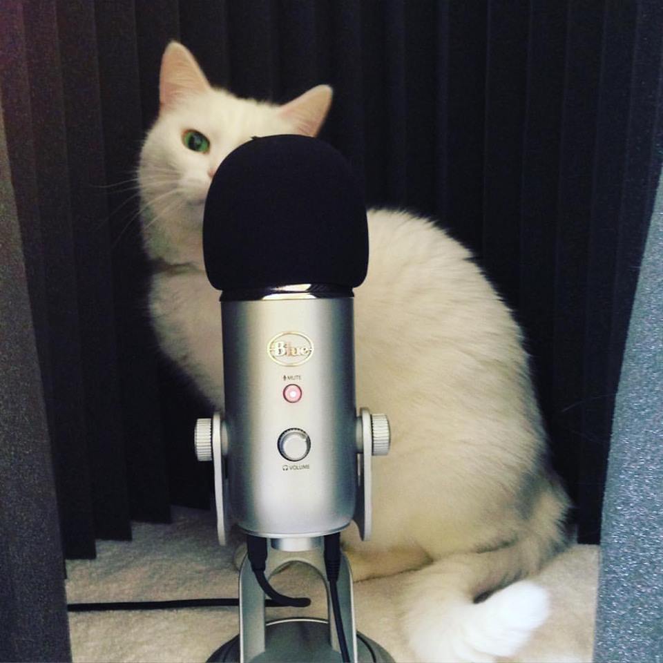 Midori helps me podcast.