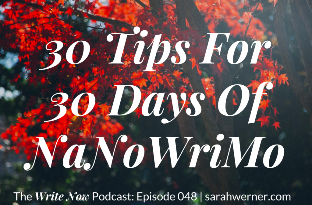 30 Tips for 30 Days of NaNoWriMo – WN 048
