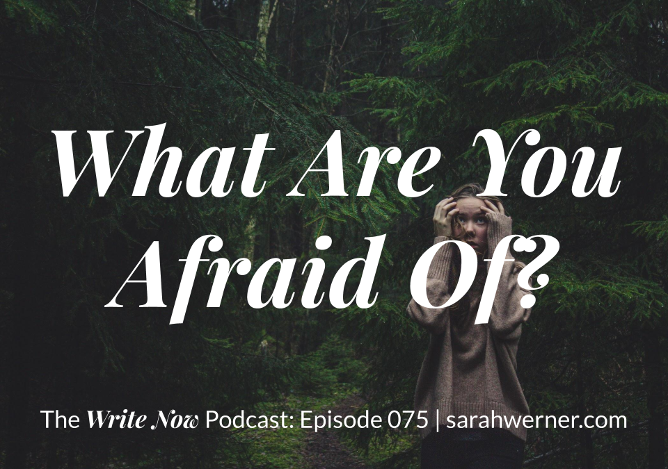 Image for What Are You Afraid Of? Episode 075