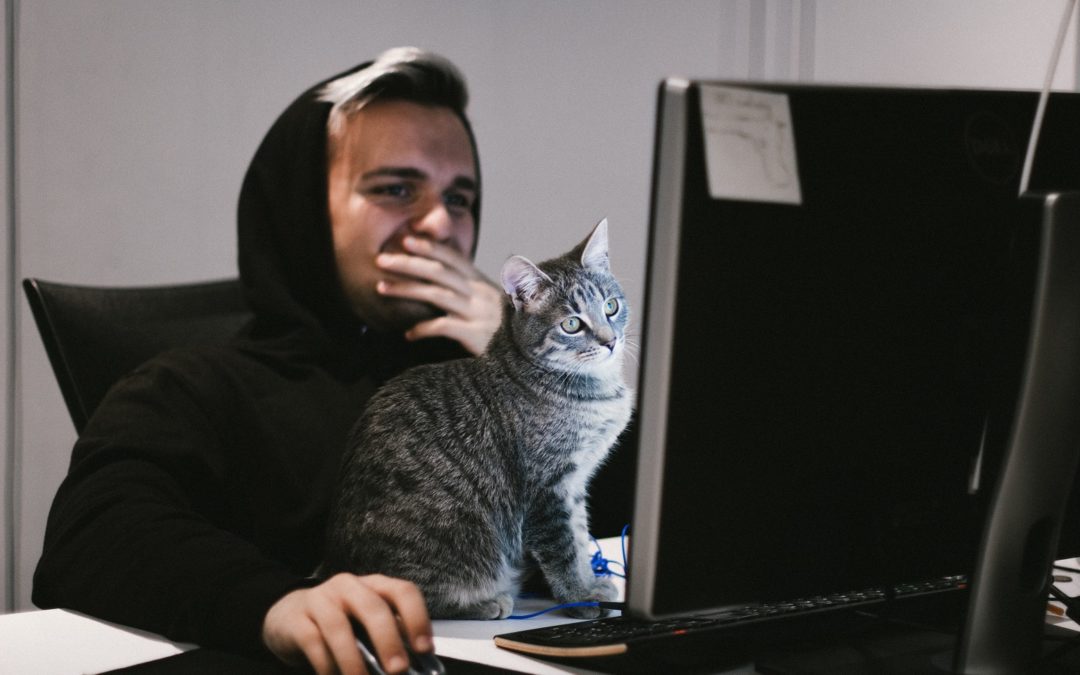 Image of a person looking at a computer screen with a cat