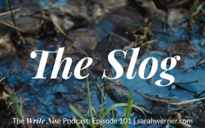 The Slog – WNP 101