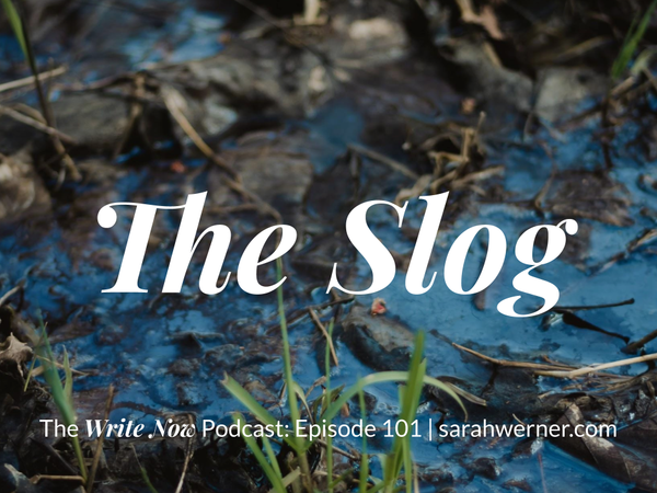The Slog – WNP 101