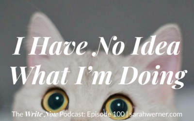I Have No Idea What I’m Doing – WNP 100