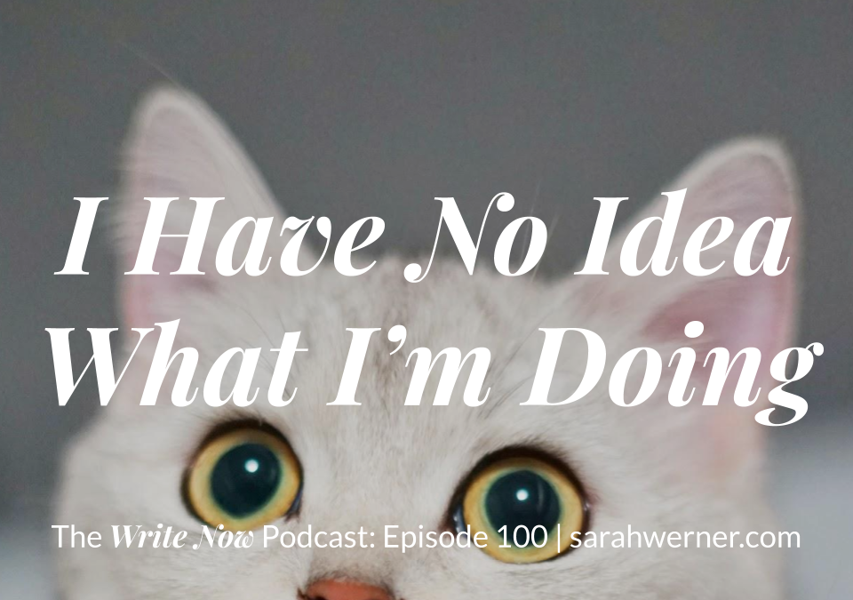 I Have No Idea What I’m Doing – WNP 100