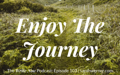 Enjoy the Journey – WNP 103