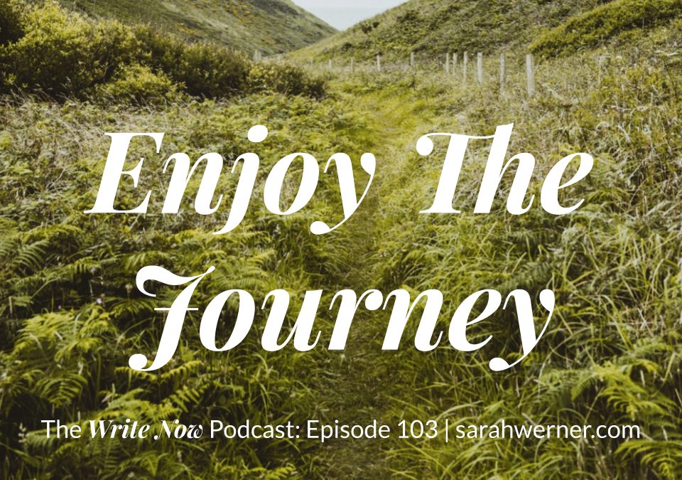 Enjoy the Journey – WNP 103