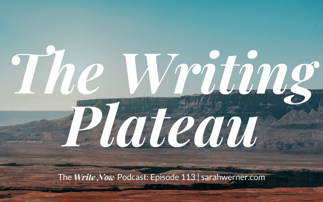 The Writing Plateau – WNP 113