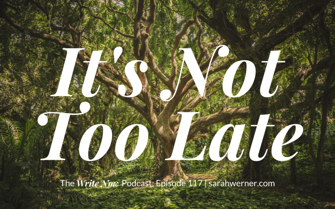 It’s Not Too Late – WNP 117