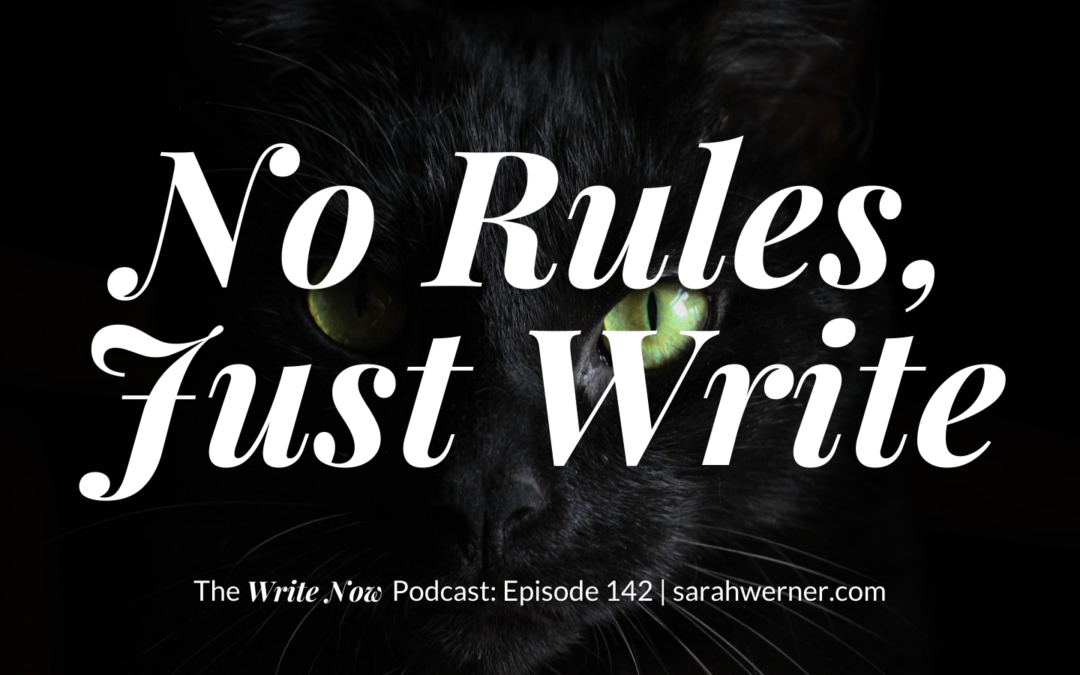 Episode 142 cover imagery — a black cat with the superimposed title: No Rules, Just Write
