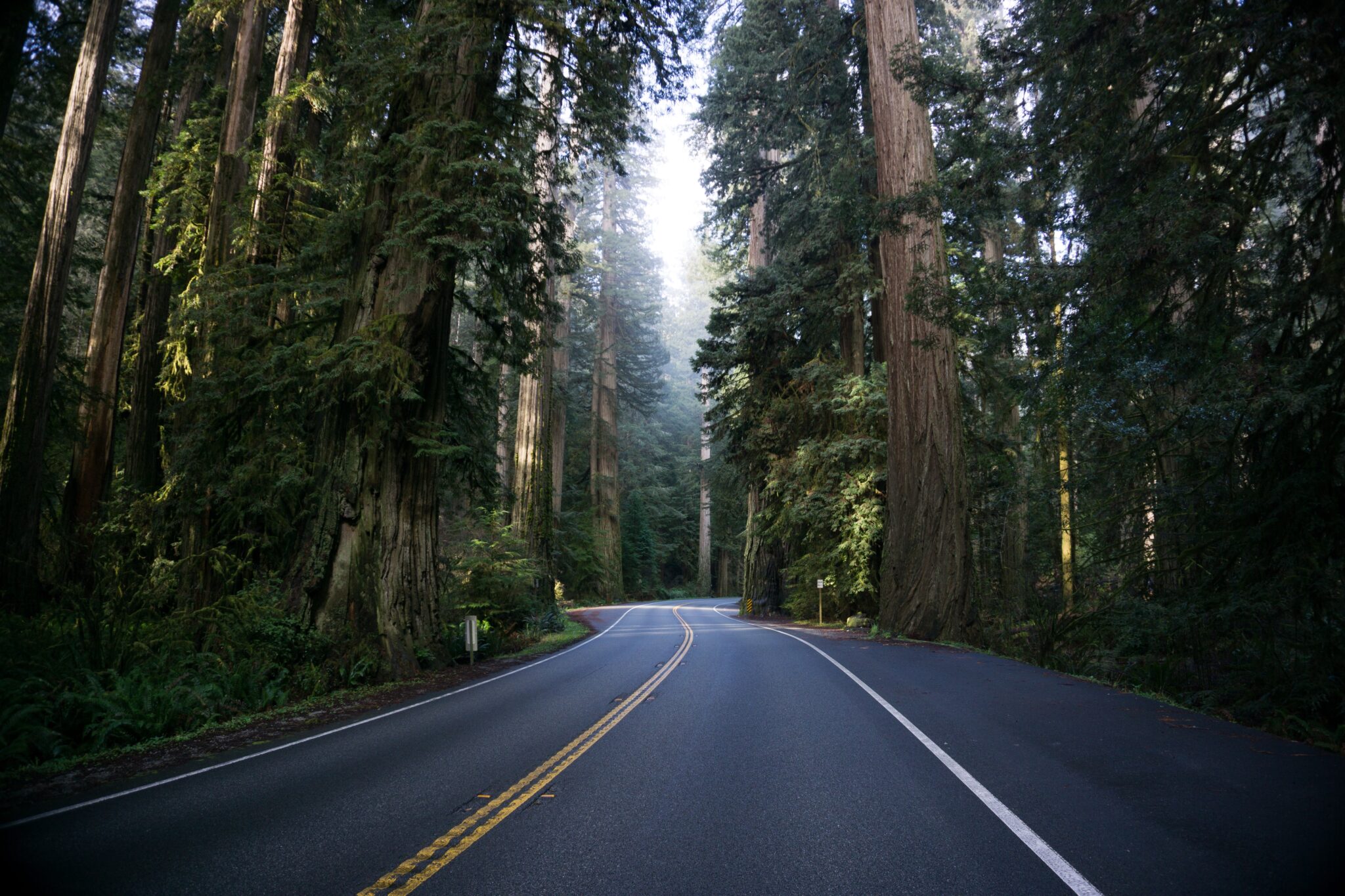 Writing on the Road