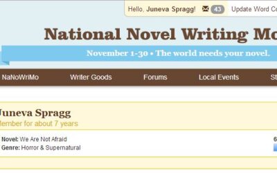 NaNoWriMo No-Go